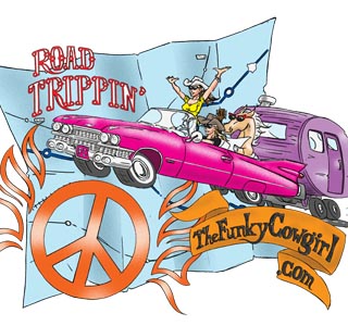 Tee-design-for-thefunkycowgirl.com